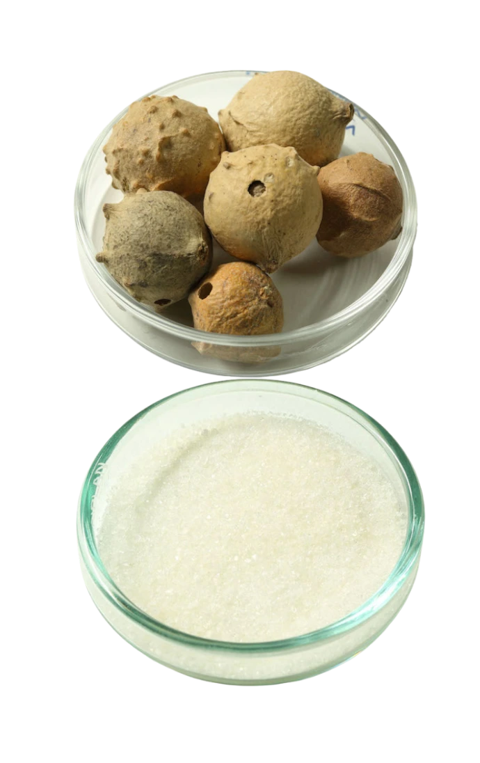 Full Course Workshops