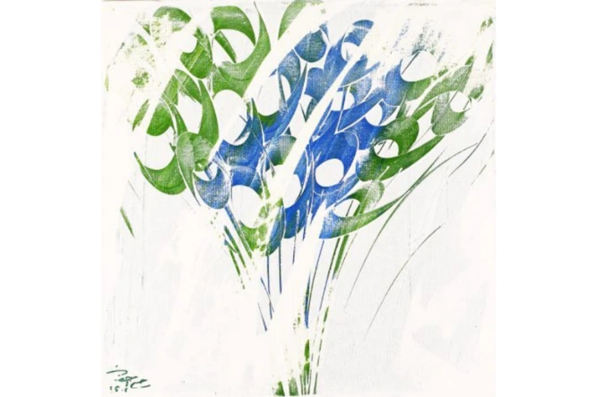 Al-Mangroves Gallery Al-Mangroves Gallery