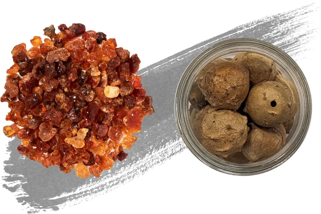 Iron-Gall Ink Workshop