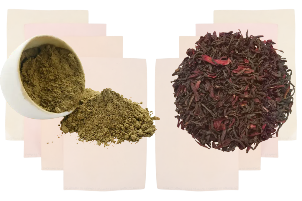 Henna & Hibiscus Dyeing Workshop