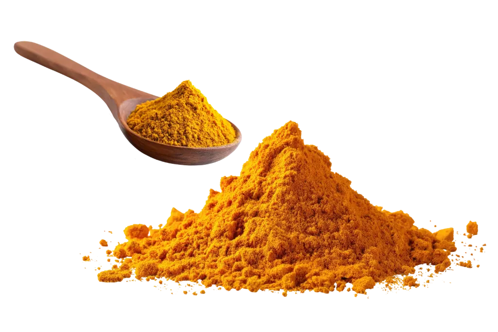 Turmeric Dyeing Workshop